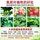 Xinlianxin genuine agricultural urea high-nitrogen fertilizer for vegetables, flowers and fruit trees, general fertilizer, chemical fertilizer, organic compound fertilizer 80 Jin Jin is equal to 0.5 kg Twenty Jin Jin is equal to 0.5 kg Four packages Authentic guarantee