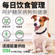 Daily dog food, special dog food for diabetes, low sugar, blood sugar control, full price puppy food, prescription food 200g