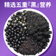 茗愿桑葚五黑茶 黑芝麻桑椹干黑豆枸杞黑米滋补养乌头发泡水茶包240g