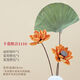 Love the bouquet of dried flowers, real flowers, dried lotus roots, natural decoration ornaments, lotus pods, flower arrangement, living room decoration, Buddhist Zen lotus, dried flower combination 1105 (without vase)