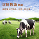 Yili Miaoqu Xiaoxue Raw Milk Chocolate Ice Cream 65g*6