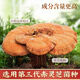 
Tongrentang (TRT) Ganoderma lucidum spore powder capsule spore powder extraction nutritional health products gift 0.4g*40 capsules/can*2 cans