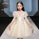 Disney Kinderkleid Prinzessin Rock Sommer Blume Kinder Hochzeit geschwollener Rock Rock Rock Little Girl Host Piano Performance Kleidung DK683 Mesh Sleeve Pink Abonnement mit Crown 120 cm 30-40jin [Jin gleich 0,5 kg]