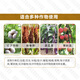 Translucent 40% difenoconazole fungicide anthrax leaf spot rust powdery mildew black spot pesticide spot defoliant 500g
