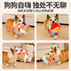 HELLOJOY Dog Toy Ball Sounding Dog Relief Artifact Pet Supplies Bite-Resistant and Energy-consuming Plush Ball
