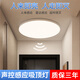 Fanyao led voice-controlled sensor light ultra-thin three-proof ceiling-mounted lamp stair aisle corridor corridor light smart light 24W-voice control sensor