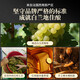 
Shengmeng Feilong French imported brandy XO foreign wine VSOP3 liter 6 Jin [Jin equals 0.5 kg] Gift box gift 3000mL