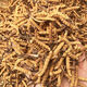 Verwenden Sie auf dem inneren Hof die gleiche Qualität, gebrochene Cordyceps und Hay Cordyceps und Sommergras, um Suppe und Wein für eine spezielle Behandlung zu machen. Yushu 10g
