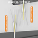 泰盟（TIMON）电信级室内单模双芯皮线光纤跳线SC-SC 2芯2钢丝尾纤低烟无卤光纤入户线50米TM-GP2SM-50M (SC)