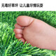 Duoxiu, artificial lawn carpet, plastic fake turf, artificial turf balcony, outdoor artificial turf, kindergarten fake turf, 2cm special grade raw material spring grass, 1 meter wide, take a few pieces to get a few meters, high grade