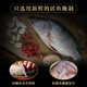 Chef Zhong (zhongdachu) Stinky mandarin fish, specialty of Anhui Huangshan, Huizhou stinky salmon semi-finished product, clean chamber pickled, heated, vacuum packed intangible cultural heritage 0.9-1 Jin [Jin equals 0.5 kg]/bar*2 material pack*2[1180g]