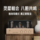Youtang MK8700 Amplificador puro Amplificador Fiebre Grado Hifi Alta fidelidad Alta potencia