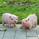Han Chang Garden Decoration Garden Ornaments Creative Gifts Piggy Model Resin Crafts Animal Simulation Pig Ornaments Station Black Pig Pair