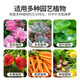 Basemanwei flowers, vegetables and fruit trees phosphate fertilizer fertilizer flower growing fertilizer urea compound fertilizer nitrogen phosphorus potassium succulent fertilizer compound fertilizer 5Jin Jin is equal to 0.5 kg