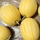 Shouhe Yellow Skin Red Flesh Watermelon Seeds Four Seasons Red Beauty Yellow Skin Red Flesh Watermelon Seeds 100 capsules 2