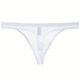 Junjunjia new product men's transparent thong thin mesh sexy underwear breathable young men white M