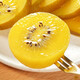 Chunguo Yimu Yellow Heart Kiwi Golden Kiwi Golden Kiwi Fresh Fruit Fresh Fruit 12 Selected Fruit Single Fruit 70-110g