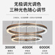 
Sendlanode light luxury chandelier living room headlights fashionable smart simple dining room bedroom LED chandelier 9721-8+6+4 eccentric circle