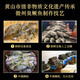 Chef Zhong (zhongdachu) Stinky mandarin fish, specialty of Anhui Huangshan, Huizhou stinky salmon semi-finished product, clean chamber pickled, heated, vacuum packed intangible cultural heritage 0.9-1 Jin [Jin equals 0.5 kg]/bar*2 material pack*2[1180g]
