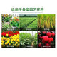 Compound fertilizer urea phosphate fertilizer potassium fertilizer flower fertilizer flower potted vegetables and fruit tree fertilizer universal nitrogen, phosphorus and potassium general upgraded formula compound fertilizer 5Jin Jin equal to 0.5kg