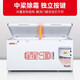 星星（XINGX）冰柜BD/BC-518G商用卧式大冷柜 冷藏冷冻转换保鲜冰箱 雪糕冰冻柜急冻速冻大冰柜 BD/BC-518G（约冻肉673斤）