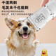 Corgi trimming artifact, pet shop special electric clipper, dog shaver, pet electric clipper, white set + pedicure head