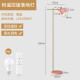 Op Lighting Macaron Floor Lamp Living Room Bedroom Sofa Lamp Iron Decoration Bedside Lamp Light Luxury Vertical Floor Lamp Foot Switch Free 7WLED