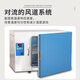 Shanghai Yiheng DHP-9012B Elektrische Konstante Temperatur Inkubator Laborsamen Keimung Yiheng Mikrobielle Konstantentemperaturkammer RT+5 ~ 65 (16L)