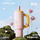 
Chakolab Big Mac Cup Organic Ceramic Covered Inner Boreal Straw Summer Cold Maintenance Large Capacity High-Precision Office Water Cup Oasis (Organic Ceramic Covered Inner Boreal) 1050ml