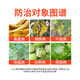 Pyraclostrobin 30% pyraclostrobin bacterial resin downy mildew powdery mildew anthracnose leaf spot rice blast fungicide 500g
