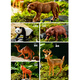 Wild Knight Children's Toys Animal World Boys Puzzle Soft Glue Model Model Set Box 40 Подарки на день рождения