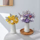 Aiman (Aiman) Leichte Luxus nordisch natürliche getrocknete Blumen Bouquet von unsterblichen Sternen Rosen Ins Style Home Dekoration getrocknete Blumen Bag Geschenk A841S Bouquet mit Flasche