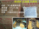 Machinerie Powder Powder Powder Powder Powder Powder de moule métallique Chengliu Détergent de poudre industriel