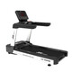 JUNXIA JX-695S Equipo de acondicionamiento físico de lujo de gimnasio de lujo en cinta de correr en la cinta de estar en interiores