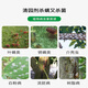 King of the Forest 29% Lime Sulfur Mixture Orchard Clearing Water Agent Fruit Tree Scale Insect Powdery Mildew Red Spider Pesticide Bacterial Insecticide