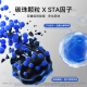 Carbon Molecule Carbon Molecule Dog Litter Dog Special Deodorant Dog Litter Stainless Steel Dog Litter Basin Dog Litter Anti-Pet Supplies 1 Pack [20Jin [Jin equals 0.5kg]] Bentonite Double Carbon STA Deodorant Model No Specifications