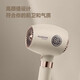 FLYCO Hair Dryer, Soft Air Negative Ion Constant Temperature Hair Care, Household Hot and Cold High Air Volume Fast Drying Hair Dryer, Smart Screen Display Gift for Girlfriend FH6369 Normal Pack