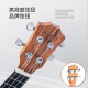 ACACIA Bird Ukulele Ukulele Ukulele Small Guitar Great Examing Play Acacia Wood 23 pulgadas