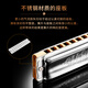 SEYDEL德国进口SEYDEL赛德 十孔10蓝调成人口琴 1847 CLASSIC 10孔D调