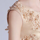 Dev Ake Kinderkleid Girl Prinzessin Rock Moderatorin High-End Piano Performance Evening Kleid Little Girl Hochzeit Sommer Big Boy BX683 Langarmiger Champagnerfarbe 140 (Empfohlen 51-60 Jin [Jin gleich 0,5 kg])