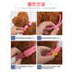 Keep a pet (YOUNGER PET) Cat and dog collar, flea collar, external repellent supplies, pet dog and cat collar, cat and dog flea and tick supplies, cat collar, length 27CM (pack of 2), for cats