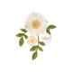 Duti's 2023 new daisy flower brooch feels light luxury cardigan coat corsage coat suit pin accessories flower brooch