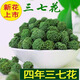 健颐年三七花茶 农家自产 云南文山精选特级四年花无熏硫晒干 四年特级三七花500克