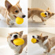 EETOYS Dog Toys Bite-Resistant Rubber Ball Small and Medium-sized Dog Training Fun Training Ball Teething Toy Washable [Airflow Noise Does Not Disturb People] Blow-Molded Trumpet Rugby Ball
