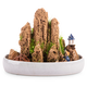 Landscape green sculpture natural water-absorbent stone bonsai custom-made water stone rockery stone micro-landscape decoration stone ornamental 20-24cm water-absorbent stone does not include pots and comes with grass seeds and stones