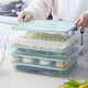 Dumpling storage box, refrigerator crisper, freezer tray for frozen dumplings, multi-layer quick-frozen fresh-keeping box, dumpling box, household dumpling freezing box, wonton box, quick-frozen food storage box, dumpling box, transparent model, 1 layer, 1 lid, can hold 60 dumplings