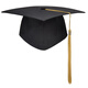 [Graduation Bachelor's Hat] Graduation Ceremony Hat Degree Hat Master's Hat Doctor's Hat Adult Hat Tutor's Hat Tutor's Hat - [Composite Cardboard]