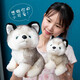 Youyu Husky Plüsch Spielzeugpuppe süßer super süßes Hund Welpe Erha Puppe Kleine Trompete Mädchen Simuliert Saint Bernard Trompete, 20 cm
