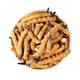 Authentische tibetische Gegend naqu großes gebrochenes Gras frisch cordyceps sinensis gebrochenes gras cordycep