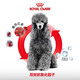 ROYAL CANIN Royal Dog Food PDA26 Poodle Teddy Old Dog Food-Age 8+ Full Price Food [>8 Years] PDA26 Poodle Old Dog 3KG